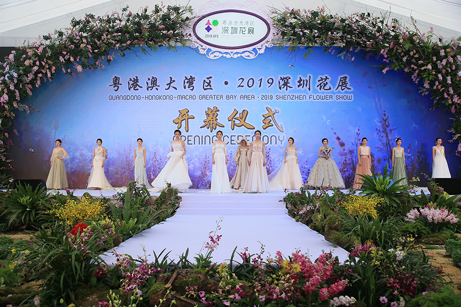 粵港大灣區·2019深圳花展 視頻